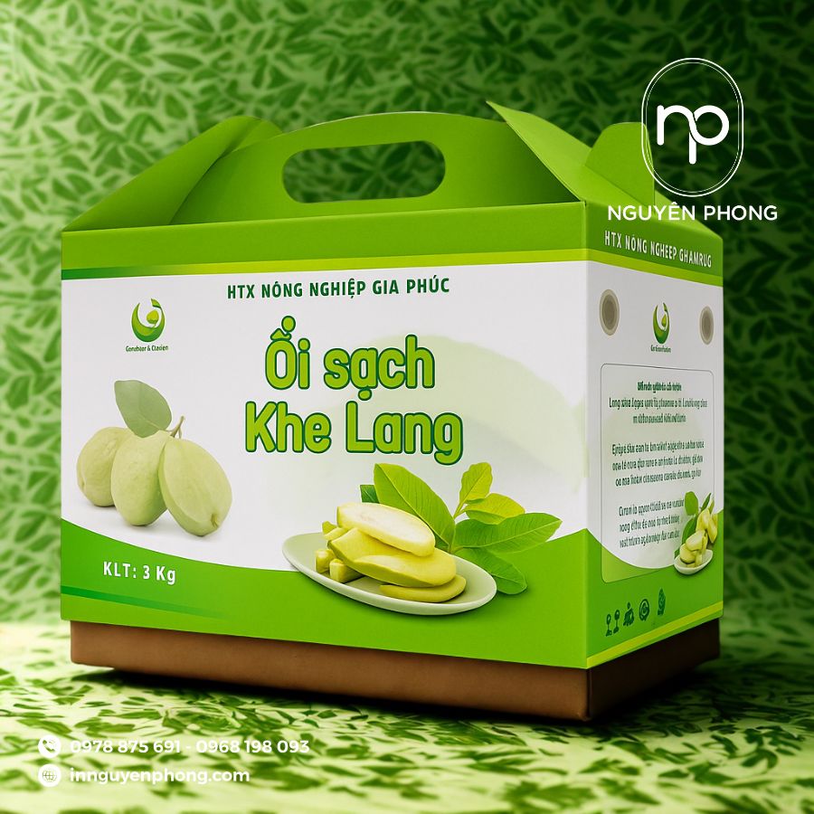 in-hop-giay-dung-dac-san-gia-re-tai-ha-noi